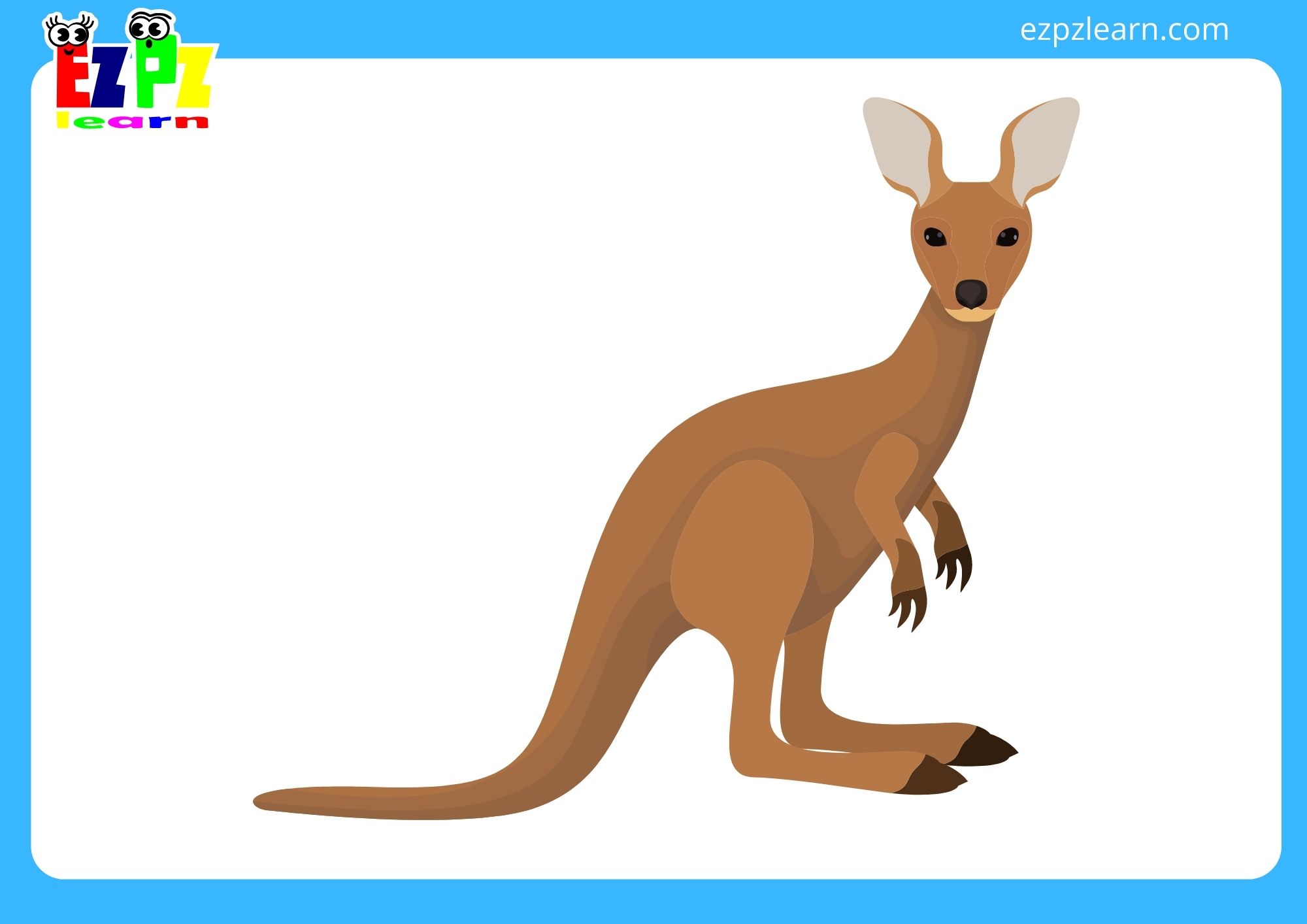 kangaroo